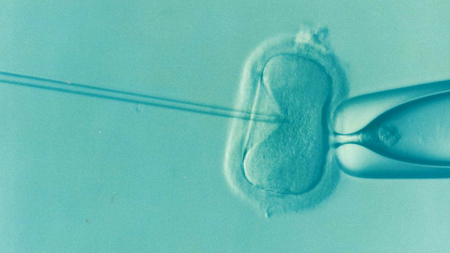 Die häufigsten Ursachen für Unfruchtbarkeit bei Frauen