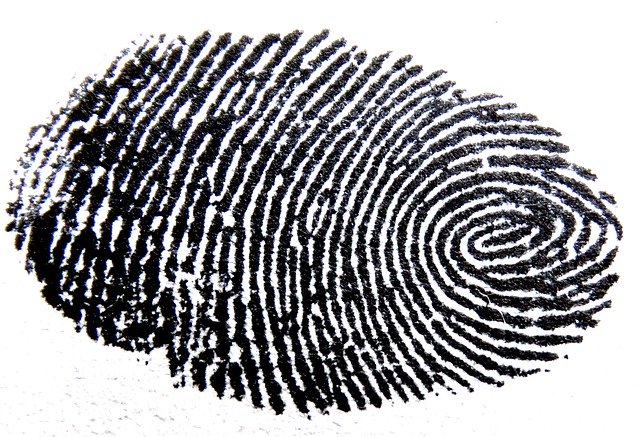 Biometrie – Neue Methoden der Objektsicherheit
